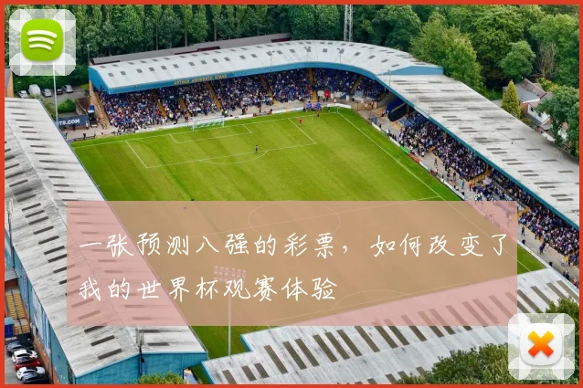 一张预测八强的彩票，如何改变了我的世界杯观赛体验