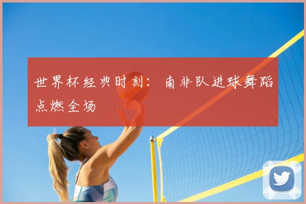 世界杯经典时刻:南非队进球舞蹈点燃全场