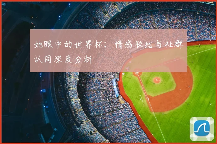 她眼中的世界杯：情感联结与社群认同深度分析