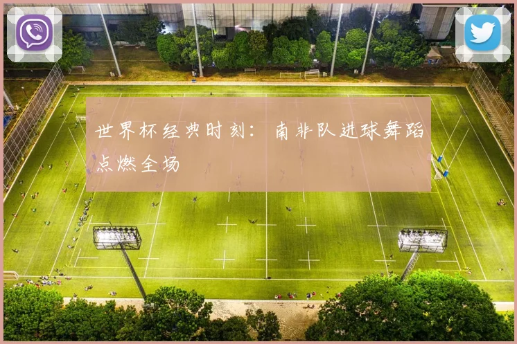 世界杯经典时刻:南非队进球舞蹈点燃全场