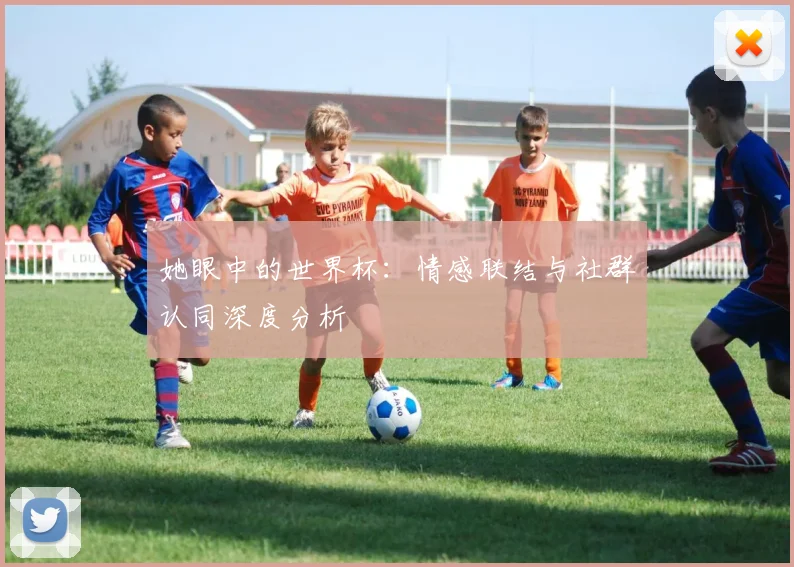 她眼中的世界杯：情感联结与社群认同深度分析